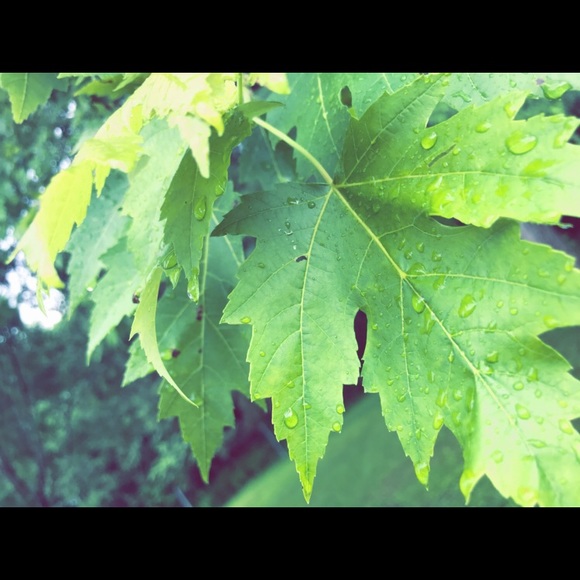 Meet your Posher, Sean - Picture 1 of 1